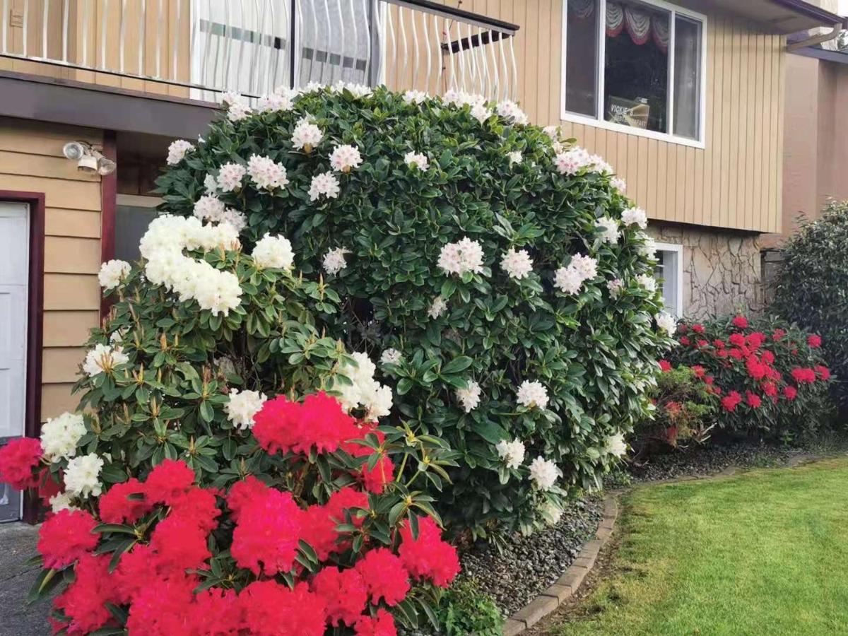 Richmond Vancouver Airport Comfy Home Dış mekan fotoğraf